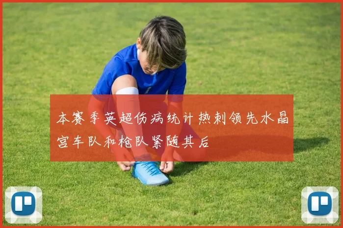 本赛季英超伤病统计热刺领先水晶宫车队和枪队紧随其后